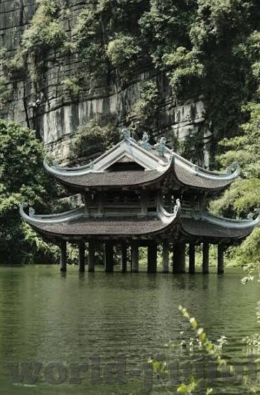 大象传媒的频道-大象传媒，重塑传媒领域的多元化频道探索