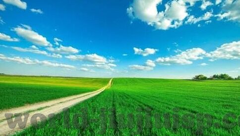 国产91蜜桃麻豆精品一区二区-探索国产91蜜桃麻豆的多样化魅力，一区与二区的独特风情