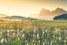 麻豆日记APP下载免费-麻豆日记，记录生活中的美好与理性消费